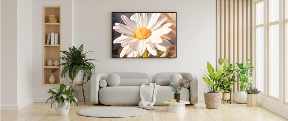 Framed Nature Inspired Artwork Stunning Sunlit Daisy Blooming Oil Painting Style 