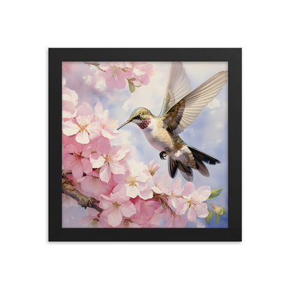 Framed Print Artwork Humming Bird Hovering Mid Air While Seeking Out Fresh Honey Amongst The Cherry Blossoms Framed Poster Artwork 10x10"