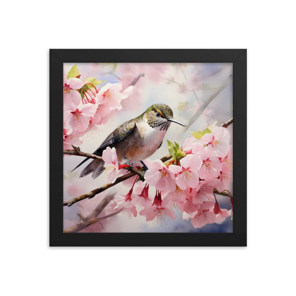 Framed Print Artwork Humming Bird Perched On Tree Branch Amongst Cherry Blossoms Framed Poster Artwork 10x10"