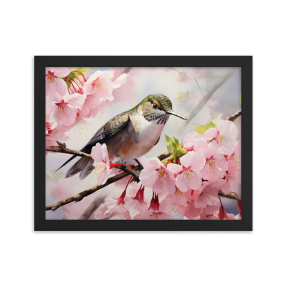 Framed Print Artwork Humming Bird Perched On Tree Branch Amongst Cherry Blossoms Framed Poster Artwork 11x14"
