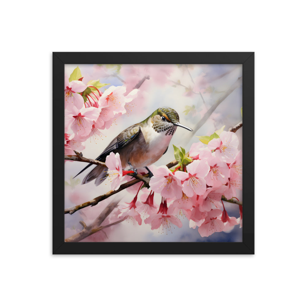 Framed Print Artwork Humming Bird Perched On Tree Branch Amongst Cherry Blossoms Framed Poster Artwork 12x12"