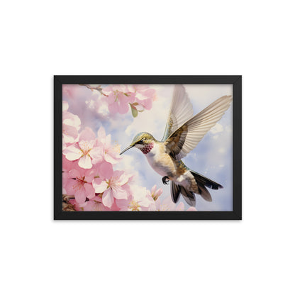 Framed Print Artwork Humming Bird Hovering Mid Air While Seeking Out Fresh Honey Amongst The Cherry Blossoms Framed Poster Artwork 12x16"