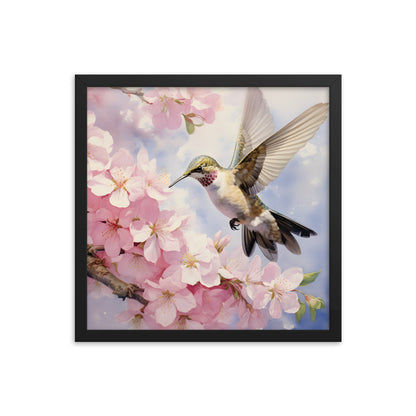 Framed Print Artwork Humming Bird Hovering Mid Air While Seeking Out Fresh Honey Amongst The Cherry Blossoms Framed Poster Artwork 16x16"