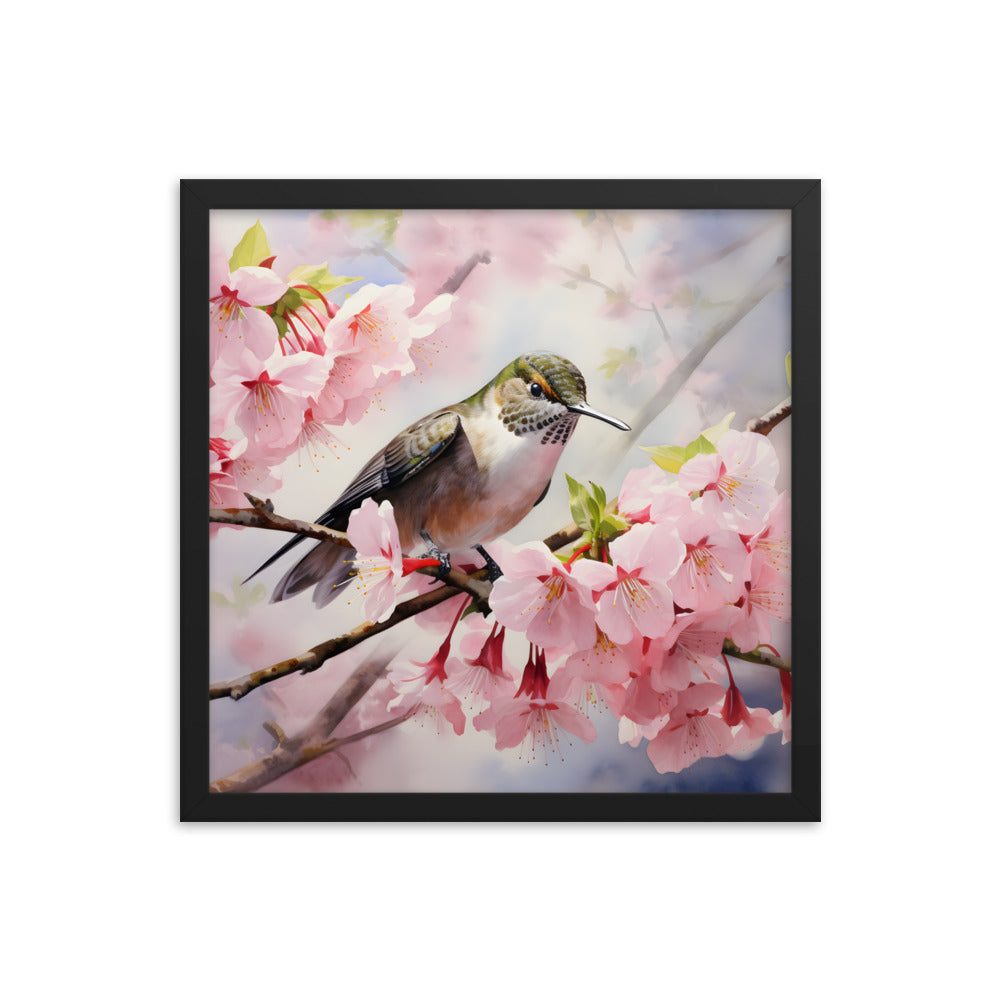 Framed Print Artwork Humming Bird Perched On Tree Branch Amongst Cherry Blossoms Framed Poster Artwork 16x16"