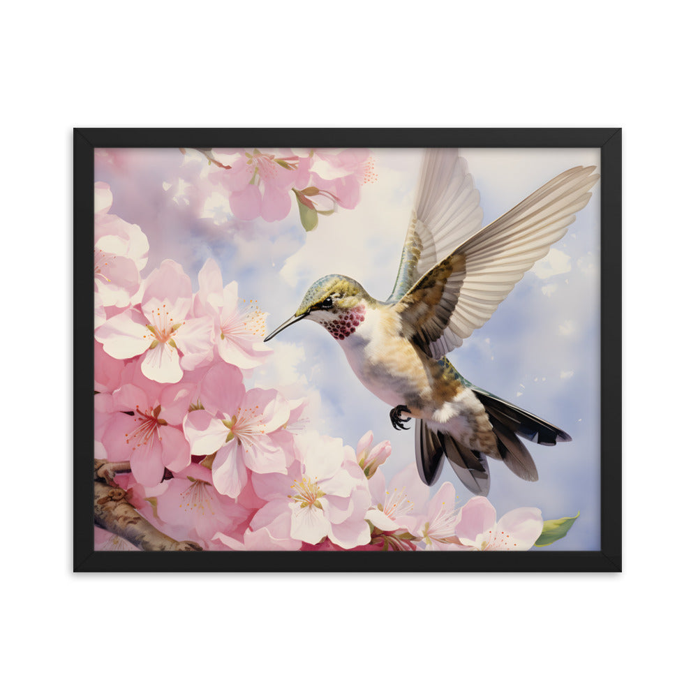 Framed Print Artwork Humming Bird Hovering Mid Air While Seeking Out Fresh Honey Amongst The Cherry Blossoms Framed Poster Artwork 16x20"