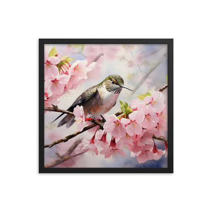 Framed Print Artwork Humming Bird Perched On Tree Branch Amongst Cherry Blossoms Framed Poster Artwork 18x18"