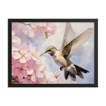 Framed Print Artwork Humming Bird Hovering Mid Air While Seeking Out Fresh Honey Amongst The Cherry Blossoms Framed Poster Artwork 18x24"