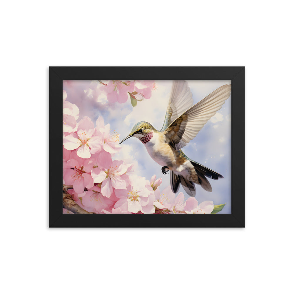 Framed Print Artwork Humming Bird Hovering Mid Air While Seeking Out Fresh Honey Amongst The Cherry Blossoms Framed Poster Artwork 8x10"